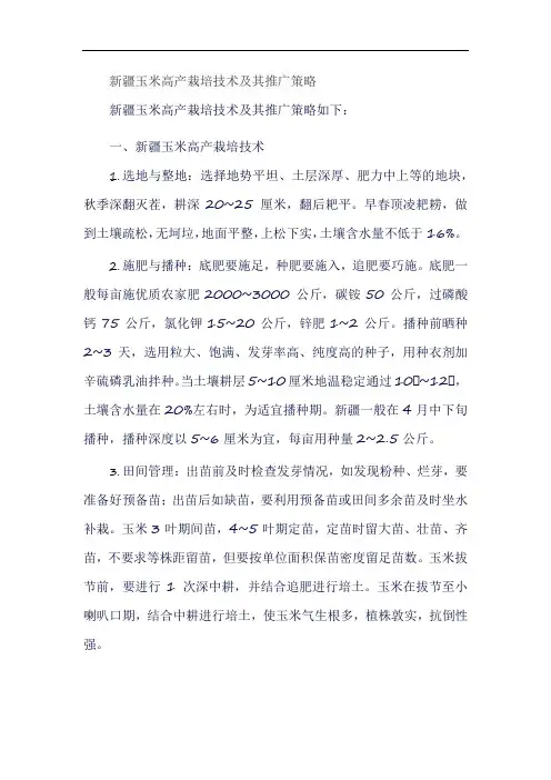 新疆玉米高产栽培技术及其推广策略