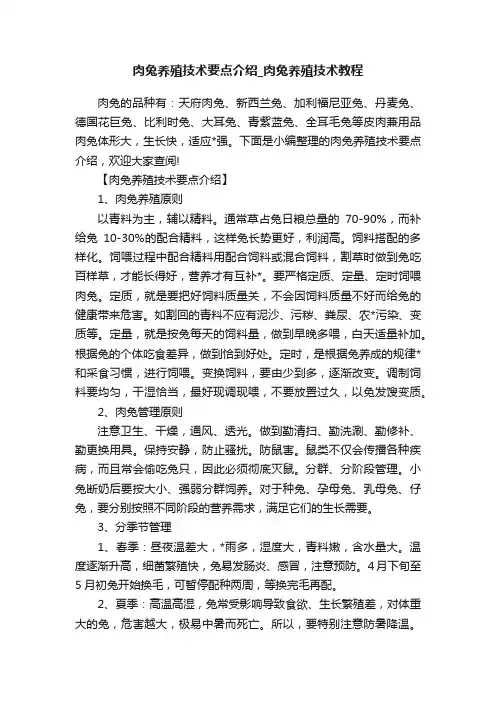 肉兔养殖技术要点介绍_肉兔养殖技术教程
