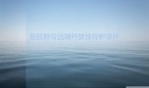 左胫腓骨远端开放性骨折ppt课件