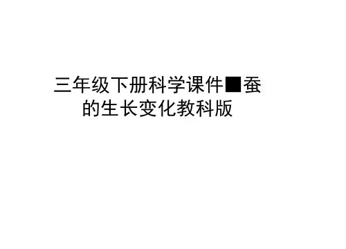 三年级下册科学课件-蚕的生长变化教科版