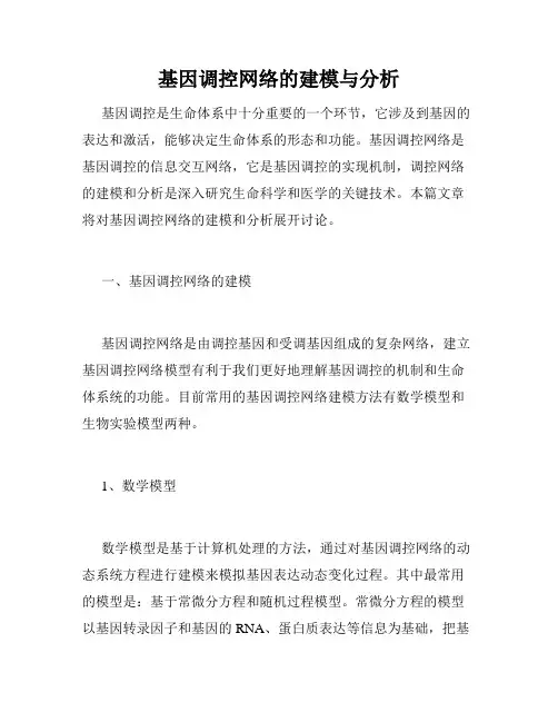 基因调控网络的建模与分析
