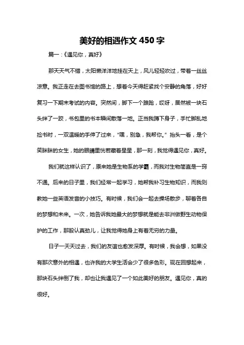 美好的相遇作文450字