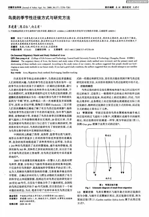 鸟类的季节性迁徙方式与研究方法