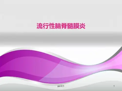 流行性脑脊髓膜炎  ppt课件