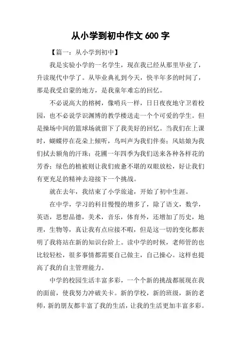 从小学到初中作文600字