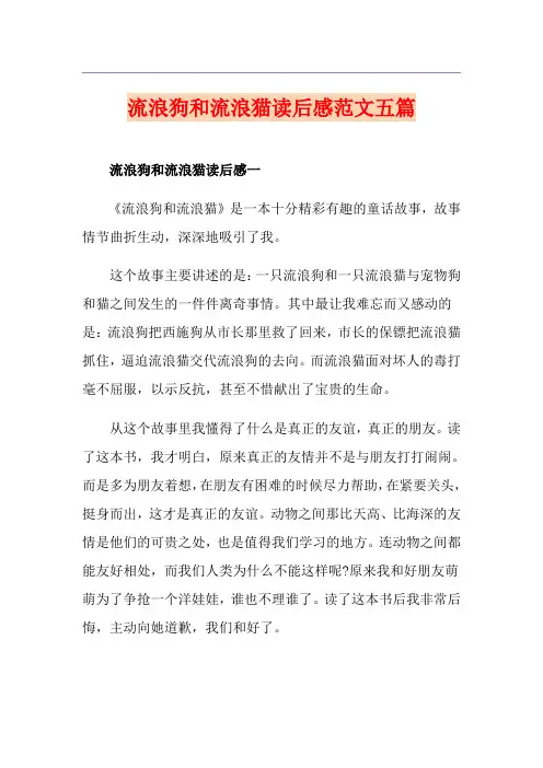 流浪狗和流浪猫读后感范文五篇