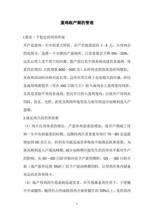 蛋鸡临产期的管理