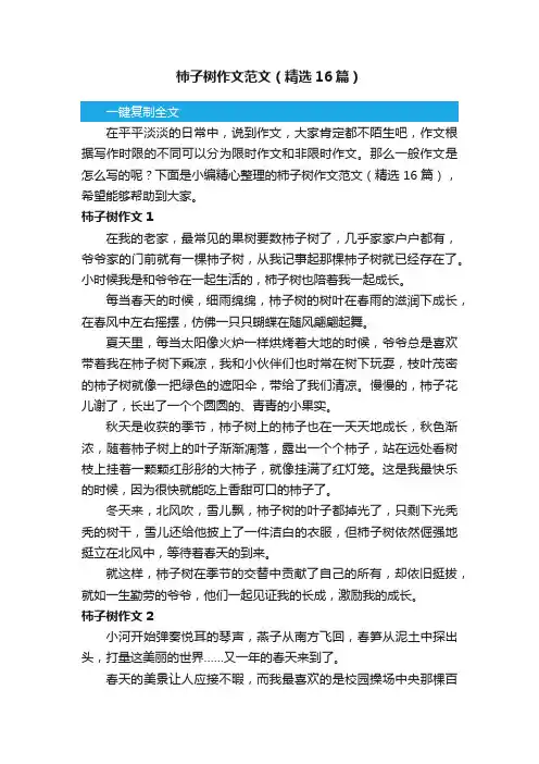 柿子树作文范文（精选16篇）