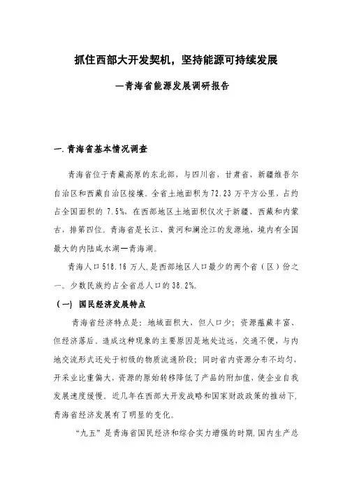 青海省能源发展调研报告