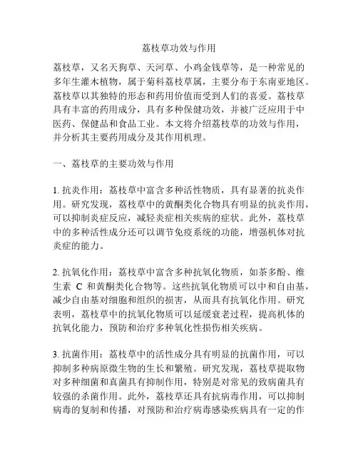 荔枝草功效与作用