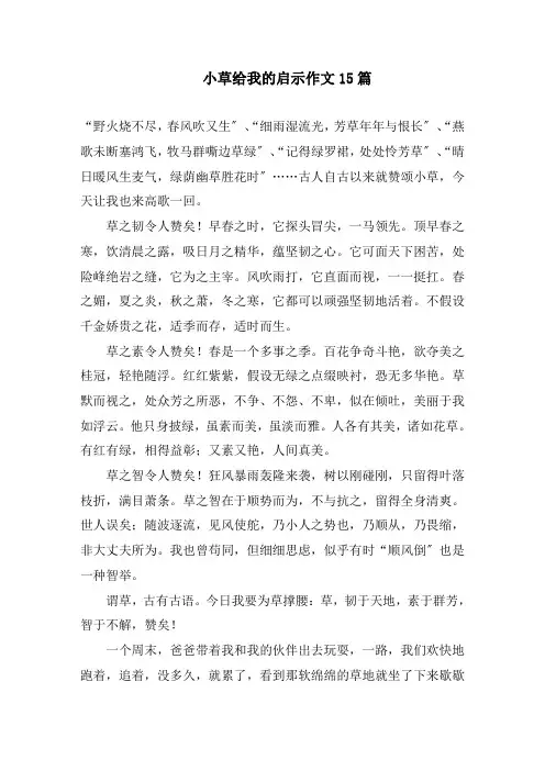 小草给我的启示作文15篇精编