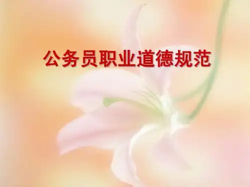 公务员职业道德规范