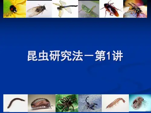 昆虫的研究法第1讲绪论