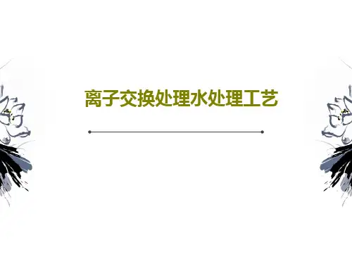 离子交换处理水处理工艺共25页PPT