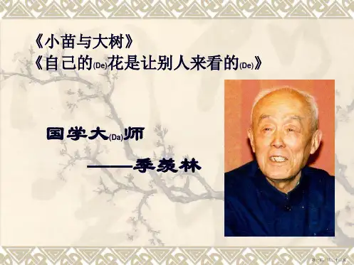 六年级语文上册《怀念母亲》ppt课件