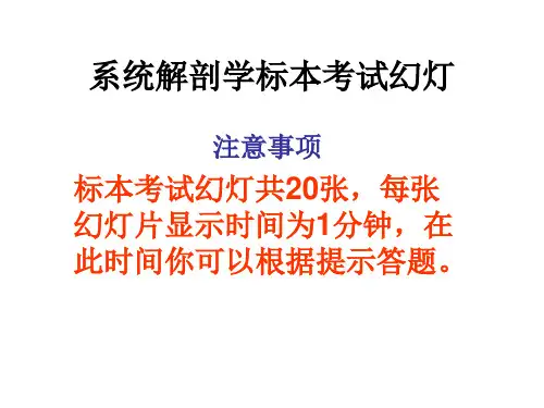 系统解剖学标本考试幻灯