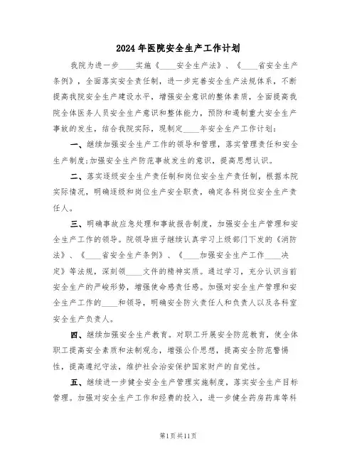 2024年医院安全生产工作计划(五篇)