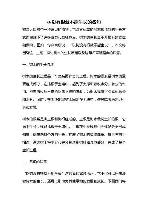 树没有根就不能生长的名句