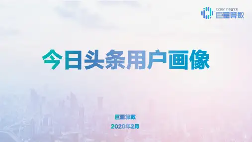 2020年今日头条用户画像
