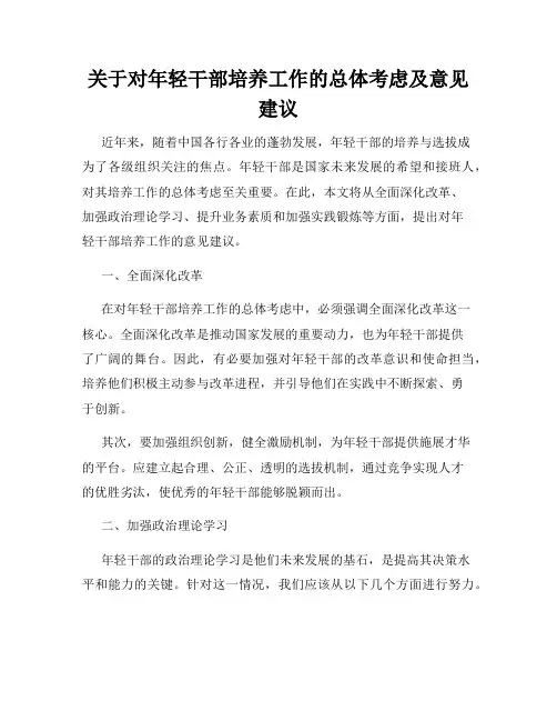 关于对年轻干部培养工作的总体考虑及意见建议