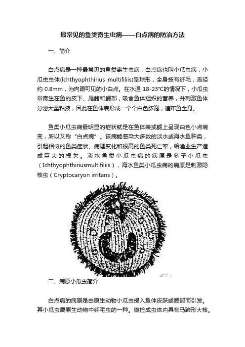 最常见的鱼类寄生虫病——白点病的防治方法