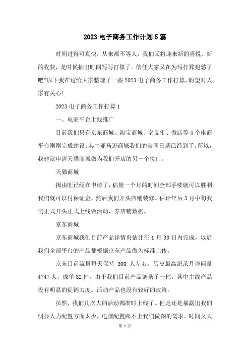2023电子商务工作计划5篇