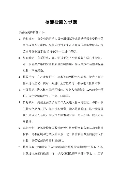 核酸检测的步骤