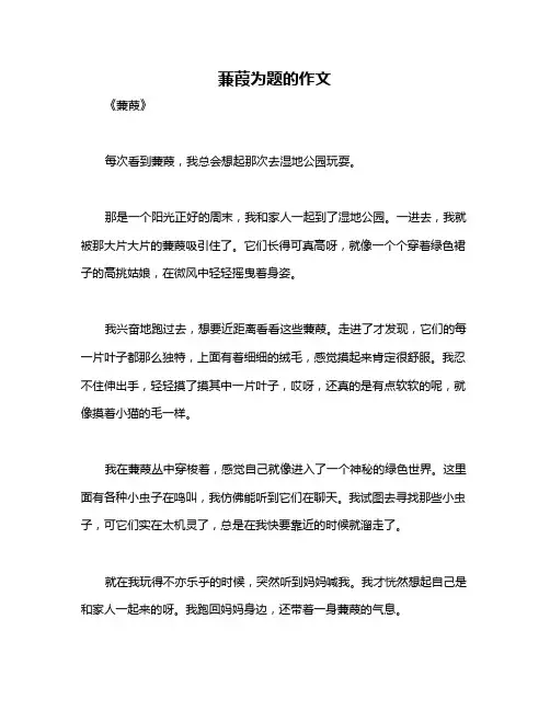 蒹葭为题的作文