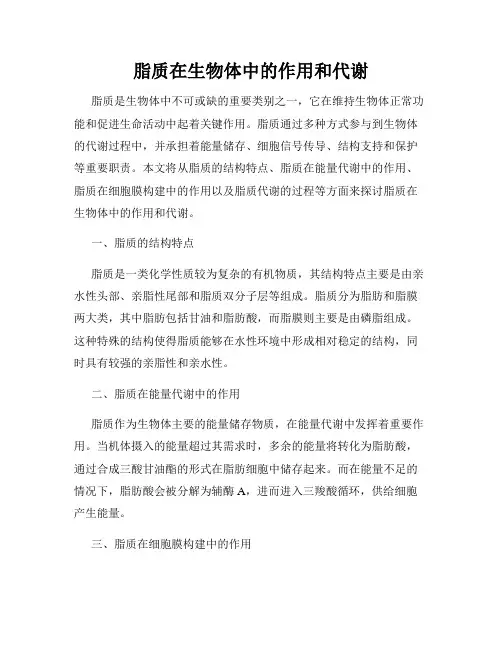 脂质在生物体中的作用和代谢