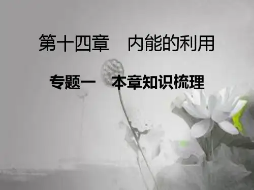 第十四章《内能的利用》总专题-PPT