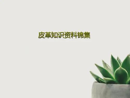 皮革知识资料锦集共32页文档