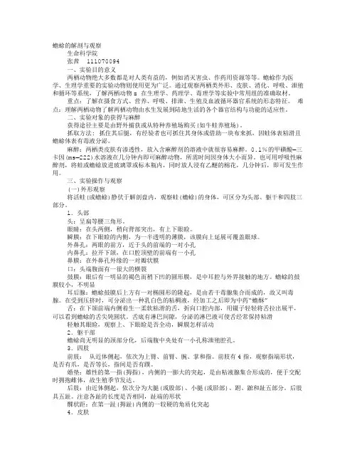 蟾蜍实验报告
