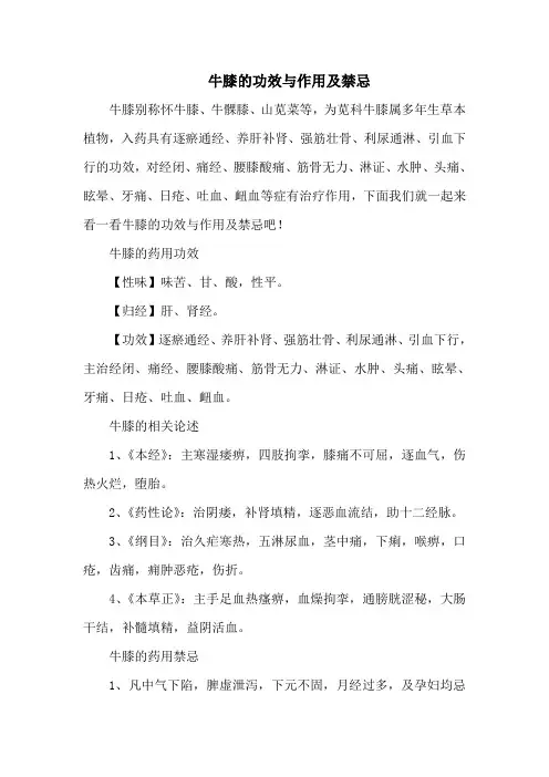 牛膝的功效与作用及禁忌