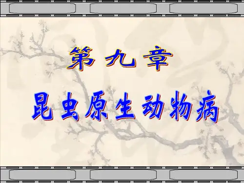 第九章昆虫原生动物病