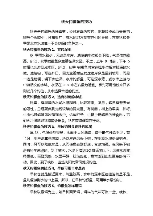 秋天钓鲫鱼的技巧