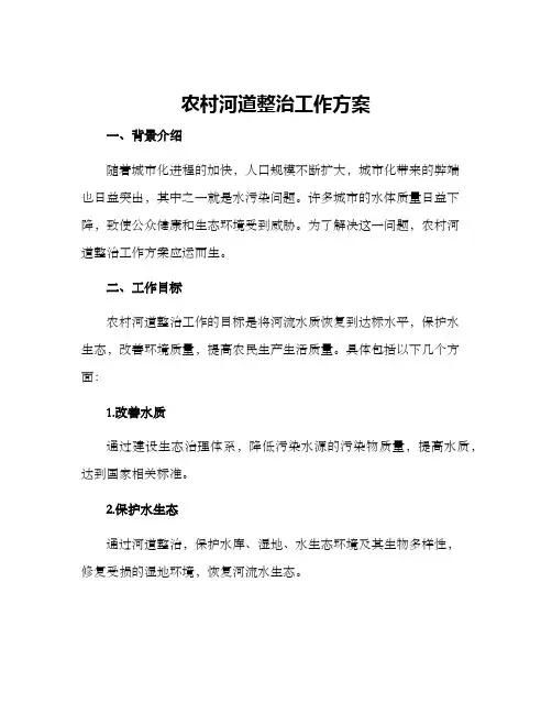 农村河道整治工作方案