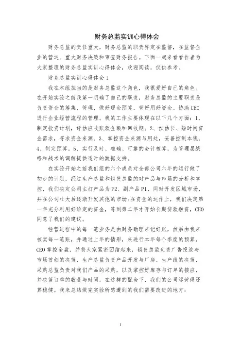 财务总监实训心得体会