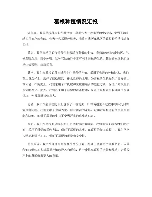 葛根种植情况汇报