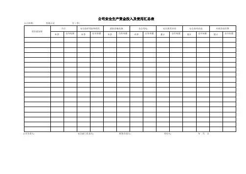 公司安全生产资金投入及使用汇总表
