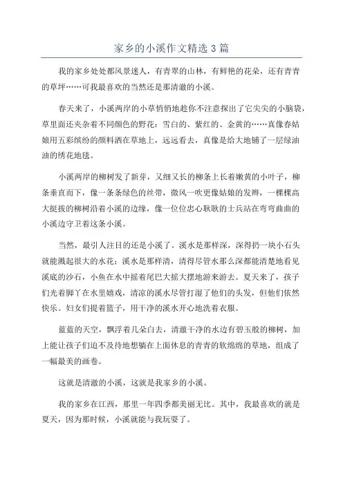 家乡的小溪作文精选3篇