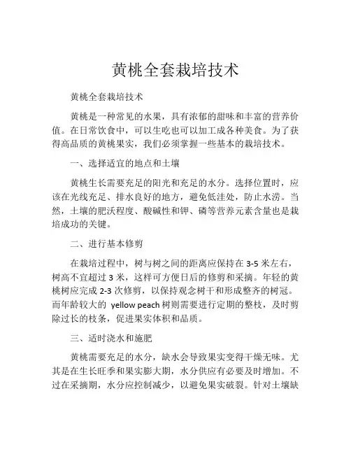 黄桃全套栽培技术