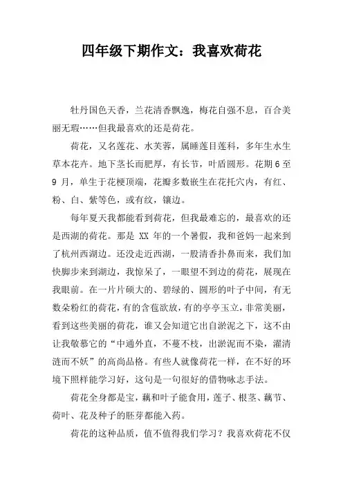 四年级下期作文：我喜欢荷花