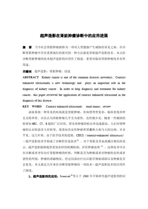 综述超声造影在肾脏肿瘤诊断中的应用进展