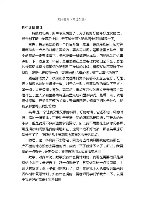 期中计划（精选5篇）