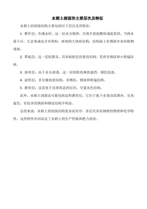 水稻土剖面的主要层次及特征
