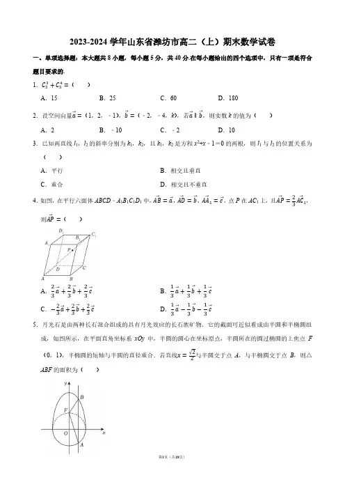 2023-2024学年山东省潍坊市高二(上)期末数学试卷【答案版】