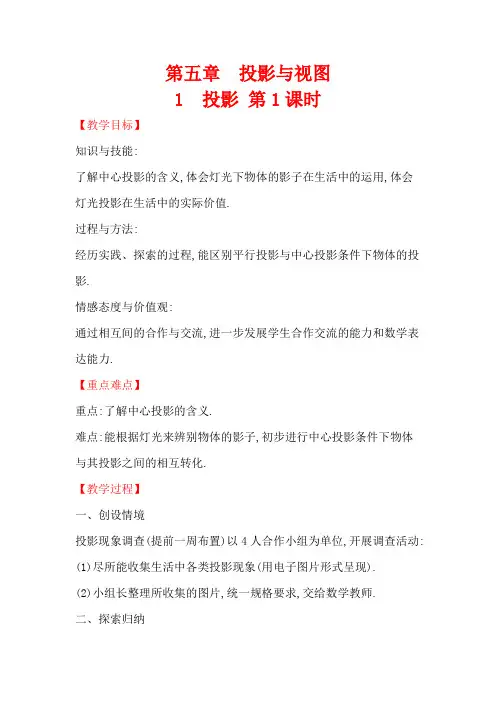 5.1 投影 第1课时 数学北师大版九年级上册教案