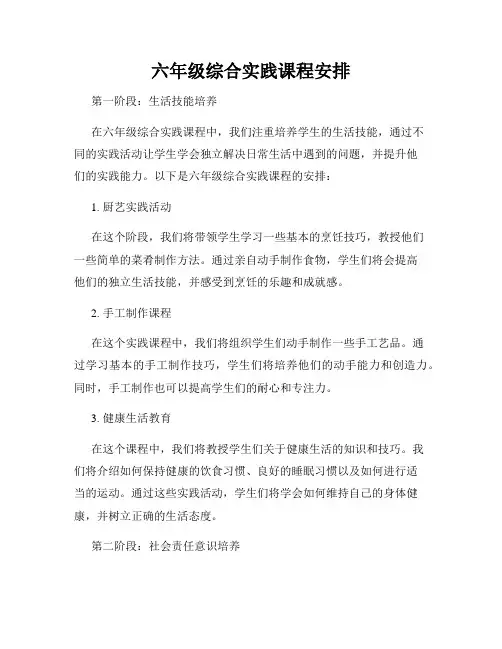 六年级综合实践课程安排
