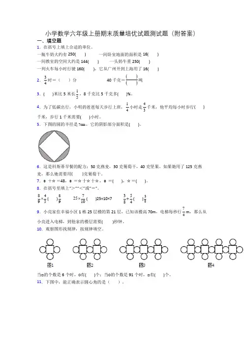 小学数学六年级上册期末质量培优试题测试题(附答案)