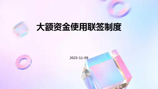 大额资金使用联签制度